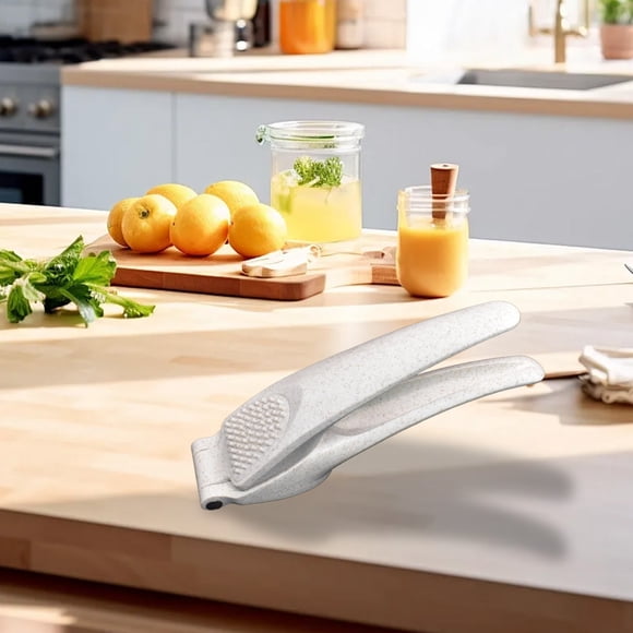 LSLJS Stainless Steel Iron Garlic Press Plastic Handle Pounding Garlic Press Garlic Puree Kitchen Small Tool Accurate Hole Position Thickened Material
