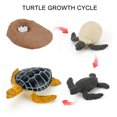 thumbnail image 3 of Plastic Animals Figures 4 Piece Insect Figure Animal Life Cycle Plastic Brood to Mature Period, 3 of 3