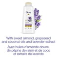 thumbnail image 2 of Dove Lavender + Volume Shampoo, 2 of 8