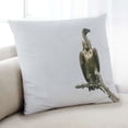 thumbnail image 1 of Ahgly Company Animals Vulture Coussin Décoratif d'Intérieur, 18 Po X 18 Po, 1 of 6