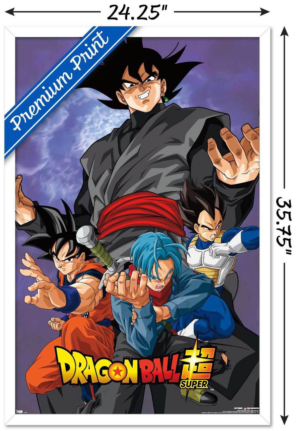 Dragon Ball: Super - VIllain Wall Poster