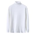 thumbnail image 4 of Tricot à Manches Longues Col Montant Couleur Unie Mode Décontractée pour Hommes, 4 of 8