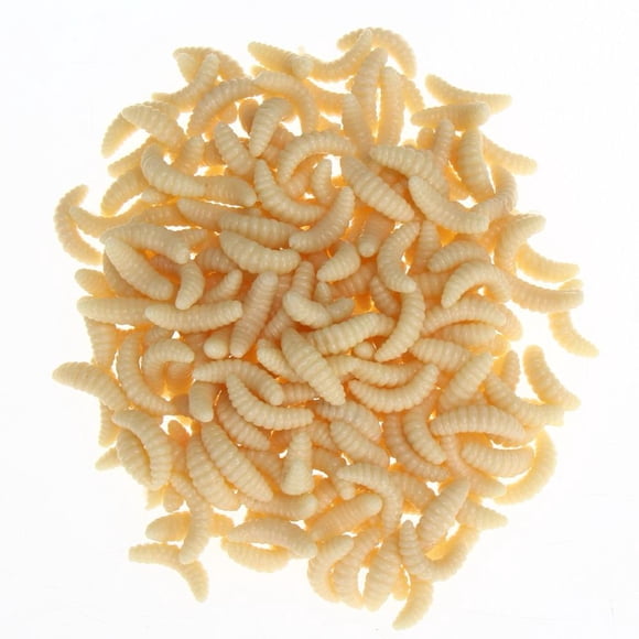 MesaSe 200 Pcs Leurres de Pêche en Plastique Souple Appâts Asticots vers Attirail Jaune Pâle