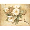 thumbnail image 1 of Pimpernel Sugar Magnolia Placemats Set of 4, 1 of 5