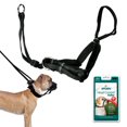 thumbnail image 1 of Sporn Dog Head Halter for Dogs, No Pulling Harness with Thick Dog Muzzle, Black, Large, 1 of 7
