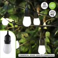 thumbnail image 1 of 20 S14 FROSTED EDISON LED STRING LIGHTS WITH COMMERCIAL, 1 of 1