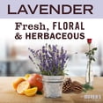 thumbnail image 4 of Mrs. Meyer's Clean Day Scented Soy Aromatherapy Candle, 35 Hour Burn Time, Made with Soy Wax and Essential Oils, Lavender Scent, 200 gram Candle Jar, 4 of 7