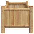 thumbnail image 3 of vidaXL Planter 50x30x25 cm Bamboo, 3 of 5