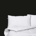 thumbnail image 3 of Oreiller en Microfibre en Alternative au Duvet - Format Standard, Paquet de Deux, 3 of 6