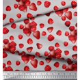 thumbnail image 3 of Soimoi Cotton Voile Fabric Raspberry,Strawberry & Cherry Fruits Decor Fabric Printed Yard 56 Inch Wide, 3 of 3