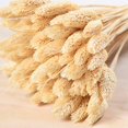 thumbnail image 3 of Coofit Dry Flower Branch DIY 24PCS Simple Natural Dried Grass Stem Dry Grass Decor, 3 of 8