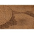 thumbnail image 1 of Ahgly Company Machine Washable Indoor Rectangle Transitional Orange Area Rugs, 2' x 3', 1 of 7