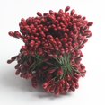 thumbnail image 3 of GROWTH TANK 500pcs 1000 Têtes Doubles Mini Baguettes Friture Artificielle Rouge Foncé, 3 of 9
