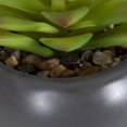 thumbnail image 3 of hometrends Kelvin Faux Succulent in Grey Pot, 3 of 5