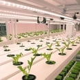 thumbnail image 2 of LED Plant Grow Light Strips for Indoor Plants Red &, 2 of 8