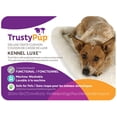 thumbnail image 2 of TrustyPup Kennel Luxe Deluxe Crate Cushion for Medium Dogs, 2 of 2