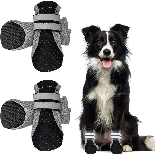 Bottes pour Chien, Chaussures pour Chien Résistantes à l'Eau avec Sangles Ajustables et Semelle Antidérapante en Taille TG, Faites de Néoprène et de Maille Respirante en Noir. l'Ensemble Comprend Quatre Bottes avec Semelles en Caoutchouc Antidérapantes pour une traction Accrue et Sangles velcro Ajustables pour un Ajustement Sécuritaire. Conçu pour Protéger les Pattes de Chien des Trottoirs Chauds, des surfaces Rugueuses et des Planchers de Bois Franc Tout en les Gardant Confortables et au Sec. l'Image Montre un Chien Noir et Blanc Portant les Bottes, avec un Gros Plan des Bottes Mettant en Valeur Leur Empeigne en Maille et Semelle Textur