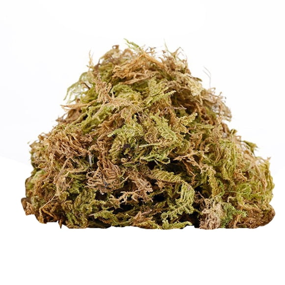 VogueV 100g Dried Sphagnum Moss, Moisture-Retaining Substrate for Terrariums & Planters Khaki