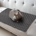 thumbnail image 1 of Sale Today Clearance! Pet Sofa Mat With Pillow And Summer Heat Relief Pet Mat, 1 of 4