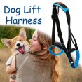 thumbnail image 3 of Adjustable Dog Lift Harness For Back Legs Pet Support Up Stand Legs Hel H, 3 of 9
