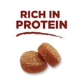 thumbnail image 3 of Purina ONE True Instinct Bites Chicken, Training Dog Treats, 3 of 10