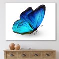 thumbnail image 1 of Designart Vibrant Blue Butterfly Canvas Wall Art, 1 of 4