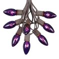 thumbnail image 1 of Novelty Lights 25 Foot C9 Twinkle Purple Outdoor Patio String Lights, 1 of 5