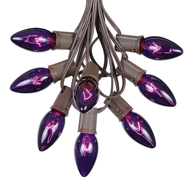 Novelty Lights 25 Foot C9 Twinkle Purple Outdoor Patio String Lights