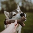 thumbnail image 4 of Lumabone jouet à mâcher pour chiens en forme de bâton, petit, 4 of 4