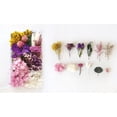 thumbnail image 2 of TopLLC Dried Flowers Material Kit DIY Everlasting Flowers Material Making Valentine's Day Gift Valentines Day Decor, 2 of 2