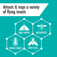 thumbnail image 3 of STEM™ Insectes volants Piège lumineux recharge, 3 of 9