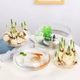 thumbnail image 1 of Large Glass Hydroponic Turtle Planter Bowl - Transparent Aquatic Fish Tank for Water Plants & Goldfish, Coin Grass Container, 1 of 9