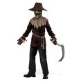thumbnail image 1 of California Costumes Wicked Scarecrow Costume, Large, Brown, 1 of 1