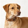 thumbnail image 4 of ZZHZGZ Canada Sale Collars for Small Medium Large Cats Adjustable Soft Nylon Reflective Collar Comfortable Breathable Lightweight Outdoor Training Walking, 4 of 4