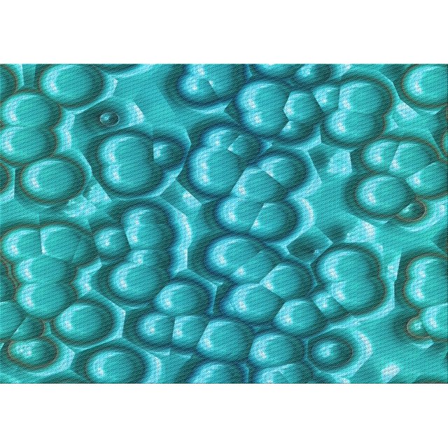 Ahgly Company Tapis Rectangulaire Lavable en Machine Intérieur Transitionnel Vert Cyan Foncé, 2 Pieds x 3 Pieds