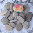 thumbnail image 1 of UPGRATOR 20Set Painting Stones Grey Smooth Rocks For Crafting Diy Painting Children Artists, 1 of 6