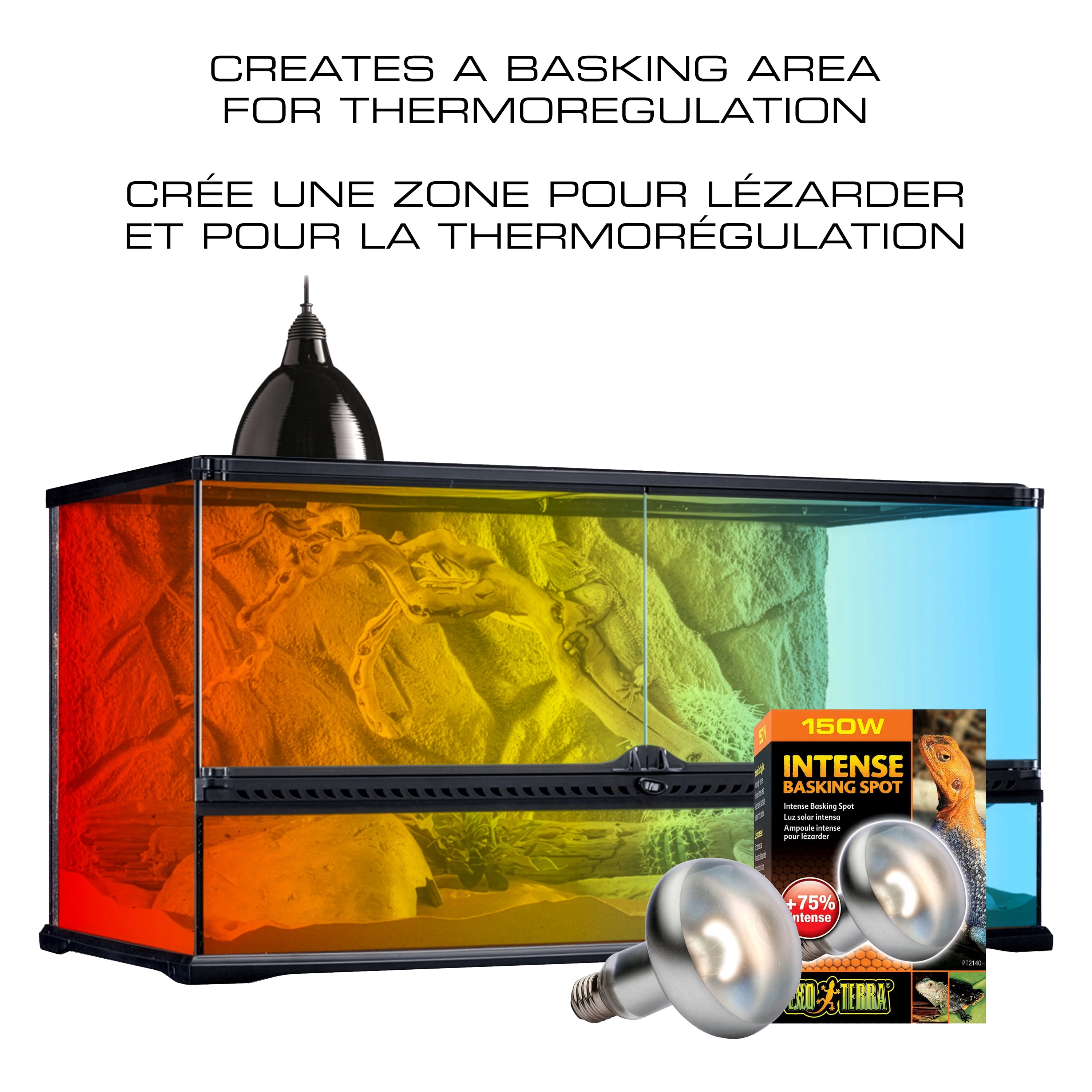 Ampoule Intense Exo Terra pour lézarder, S30, 150 W