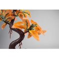 thumbnail image 2 of Penn-PLAX Deco-Replicas Bonsai Tree Aquarium Decoration - 8" Height, 2 of 8