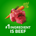 thumbnail image 4 of Iams Proactive Health Minichunks Beef & Rice Recipe Adult Dry Dog Food 6.80kg, 4 of 17