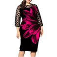 thumbnail image 2 of LSLJS Fashion Women Sexy Plus Size Long Sleeve Floral Print Splicing Perspective Dress, 2 of 6