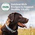 thumbnail image 3 of Nutro Natural Choice Adult Dry Dog Food Chicken & Brown Rice Recipe 2.27kg, 3 of 18