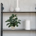 thumbnail image 5 of Mainstays 11in Indoor Artificial Plant in Pot, Green Peperomia., 5 of 5