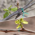 thumbnail image 4 of Miangastore Garden Twine Support Ties Green PVC 1000Pcs 3.93X0.08X0.08in, 4 of 8