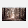 thumbnail image 2 of Forest Trail in Sepia - Landscape Photography Canvas Art Print, 2 of 3