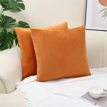 RXIRUCGD Boho Decorative Pillow Covers 45x45 Cm For Living Room Couch Bed Sofa Stylish Simplicity Home Decor Soft Swan's Down Cushion