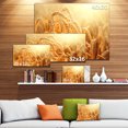 thumbnail image 3 of Ears of Golden Wheat Close up - Large Landscape Canvas Art, 3 of 4