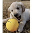 thumbnail image 4 of Balles de remplacement standard Spikeball (Ensemble de 2), 4 of 4