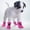 B, variant on Dog Cat Boots Pet Shoes Protective Footwear for Indoor Outdoor Walking with Non- Sole Design 4PCS