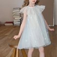 thumbnail image 3 of LOVZFMLL Jupe Princesse en Dentelle à Volants à Manches Courtes pour Filles Été Col Rond Broderie Nœud, 3 of 5