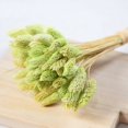 thumbnail image 2 of Coofit Dry Flower Branch DIY 24PCS Simple Natural Dried Grass Stem Dry Grass Decor, 2 of 8